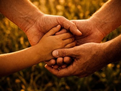 Adult hands cradling a child's hand in golden light over a field